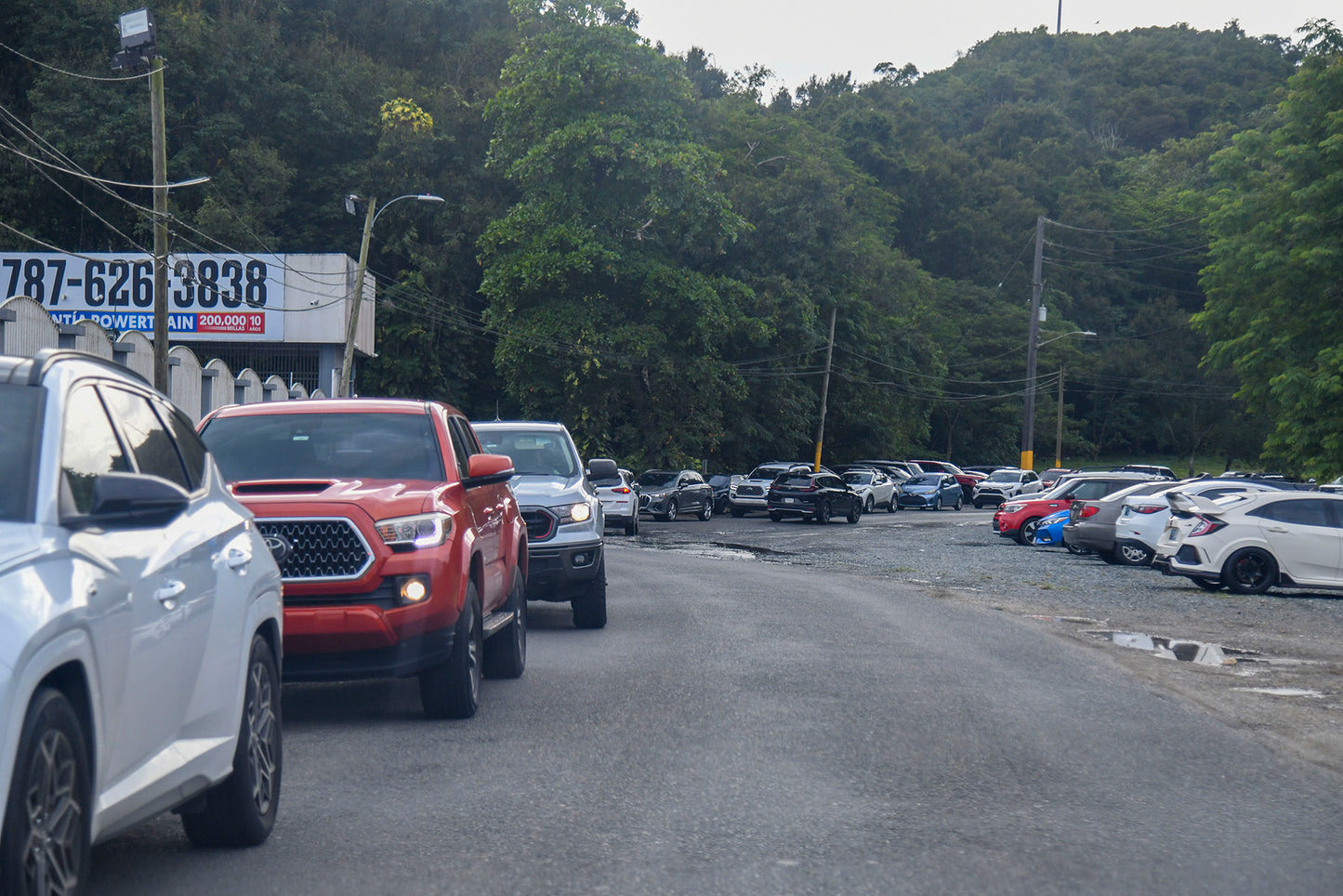 Dorado - Espacio de Publicidad - Adriel